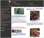 doyles_berries Doyle's Thornless Blackberry