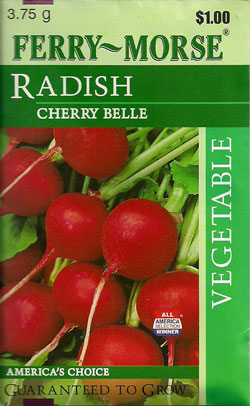 Post image for Radish Time