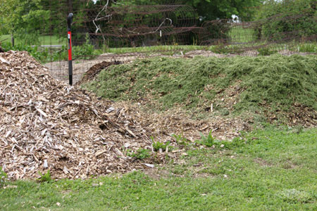 Post image for The Compost Project