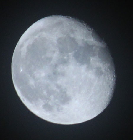 moon phases. Moon Phase Gardening