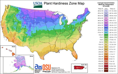 Post image for Plant Hardiness